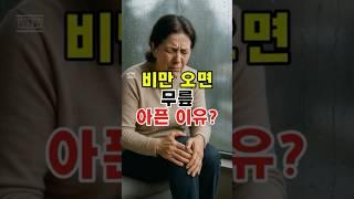 비만 오면 무릎 아픈 이유? #관절염 #관절건강 #비오는날 #통증 #건강 #음식 #시니어채움