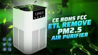 CE RoHS FCC ETL Remove Pm2.5 Air Purifier HEPA Filter Review | made-in-china.com