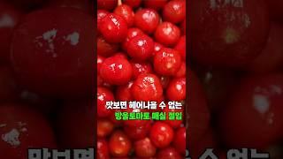 (400만) 무조건 만들어보세요. 건강한 방울토마토 매실절임
