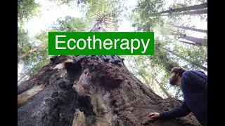 What is EcoTherapy?