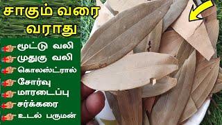 சாகும் வரை மூட்டு வலி முதுகு வலி இருக்காது கொலஸ்ட்ரால் மாரடைப்பு சர்க்கரைஉடல் பருமன்என்றென்றும்வராது