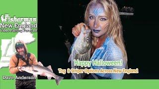 October 31st 2024 New England Video Fishing Forecast with Dave Anderson