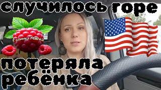 Лиса в Америке /Случилось горе /Потеряла ребёнка /Обзор /Funny 4 /Big Big Family /Жизнь в США