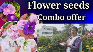 flower seeds combo offer | తక్కువ రేటుకే విత్తనాలు | gardening