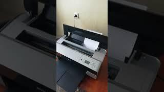 Epson stylus pro 3880