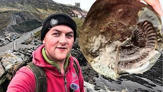 Saltwick Bay To Whitby - Amazing Fossil Hunting Finds