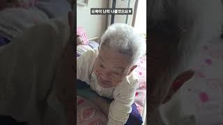 #94세혈관성치매#오복이 난리 난리