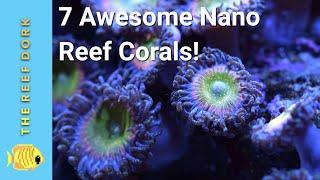 Top 7 Nano Tank Corals