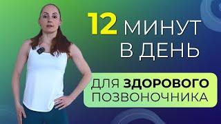 Комплекс упражнений на каждый день, чтобы иметь здоровый позвоночник и суставы