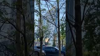 А это счастье- вместе быть площадь Серышева  Хабаровск май 2025