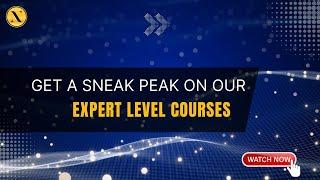 Get a Sneak Peak on our Expert Level Courses | Nitiz Sharma Trainings