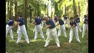 李承忠博士創編指導~(生物能醫學氣功~健身運動十七法)