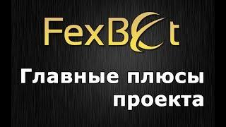 Fexbet - ГЛАВНЫЕ ПЛЮСЫ ПРОЕКТА / Fexbet отзывы от реального инвестора