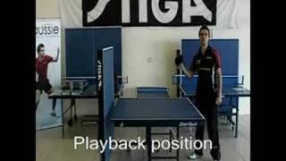 AussieTableTennis.com Stiga Expert Roller