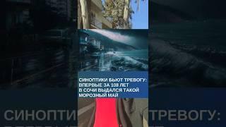  Что на самом деле было с погодой в Сочи?