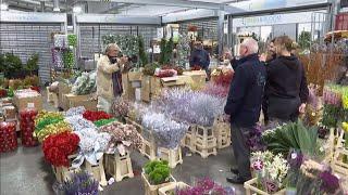 New Covent Garden turns 50 years old (UK) 11/Nov/2024