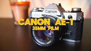The First Film Camera you Should Buy