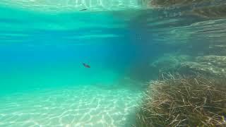 Isola d'Elba - spiaggia di Fetovaia