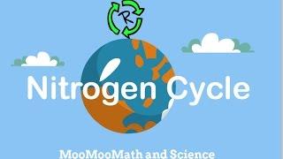 Describe Nitrogen Cycle-Nitrogen cycle in simple terms