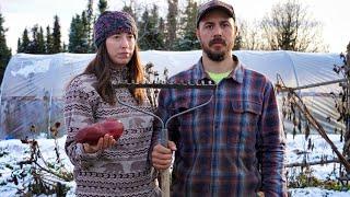 Potato Harvest | Life's A Garden - Dig It!