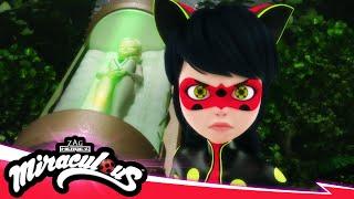 MIRACULOUS |  RECREATION - Akumatized  | SEASON 5 | Tales of Ladybug & Cat Noir