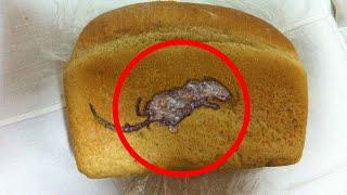 10 MOST DISGUSTING THINGS FOUND IN FOOD