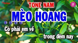 Mèo Hoang Karaoke Tone Nam - Rumba Chất Lượng Cao | Tiên Organ