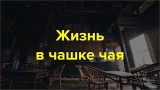 Жизнь в чашке чая [русский перевод]