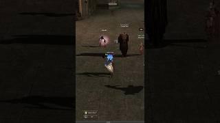 L2 Reborn x30 Season 4  Lineage 2 Interlude JohnDeere Adventurer PVP #l2reborn #lineage2 #l2pvp