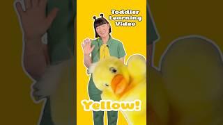 Teach Your Baby the Color Yellow and Letter Y | Babies & Toddlers | Child Development