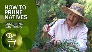 How to prune native plants