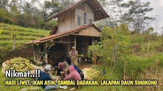 Nikmat !! Ngeliwet Pemadam Kelaparan di Saung Sawah Bareng Keluarga Sambil Panen Jagung