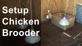 Set Up the Chicken Brooder