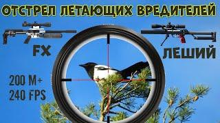 Охота на Сорок и Ворон. FX Impact M3 + Леший 2. Crow Hunting 2022. Кроухантинг. Jack Hunter.