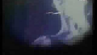 Capricorn 20 Hz - 1993