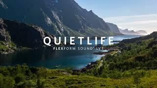 QuietLife FlexForm Sound™ LVT - Milliken Floor Covering