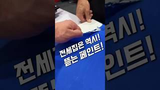 전세집에는 역시 뜯는 페인트지..!