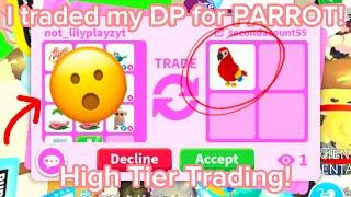 OMGI Traded my DP for PARROT! HIGH TIER TRADING! Rich Adopt me Trading Roblox! 2024!