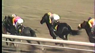 1989 Santa Anita Derby post-race Sunday Silence