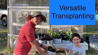 Using Grow Bags for Transplants