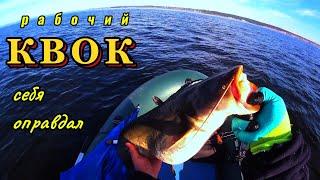 #fishing Ловим сома на квок! Самодельный квок опять на высоте !