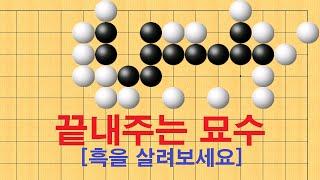 바둑 사활 - 끝내주는 묘수가 나옵니다. 흑을 살려보세요