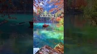 색감 실환가…꼭 가봐야지 #shorts