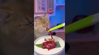 如何让猫活到20岁？DeepSeek揭秘 #cat #新手养猫 #养猫经验分享 #貓咪日常 #貓咪 #养猫攻略 #养猫知识 #科学养猫 #猫咪健康