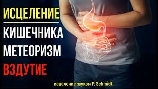 Квантовое Исцеление КишечникаВздутие (МЕТЕОРИЗМ)Исцеление звуком