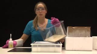 How to build a Cloud Chamber