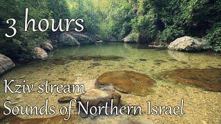 3 hours Stream sounds from Northern Israel | Relax | Study | Meditation | Yoga | Nature | Kziv river