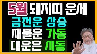 5월 돼지띠 운세:금전운 상승! 재물운 가동, 대운도 시동! 묵었던 돈줄이 터진다, 기다린 만큼 통장이 웃는다!
