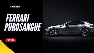 RICH ENERGY TV 2024 FERRARI PUROSANGUE