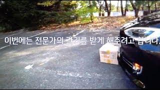 [한국에서 테슬라 타기] Tesla Model S - 극한직업 “키트”에게 케어를(방음/광택/PPF/코팅)